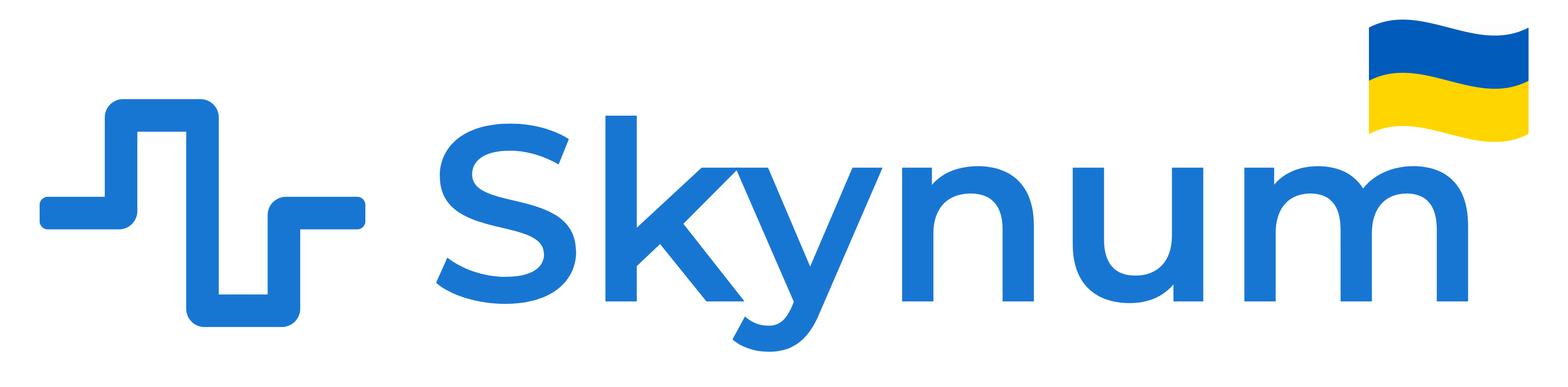 skynum